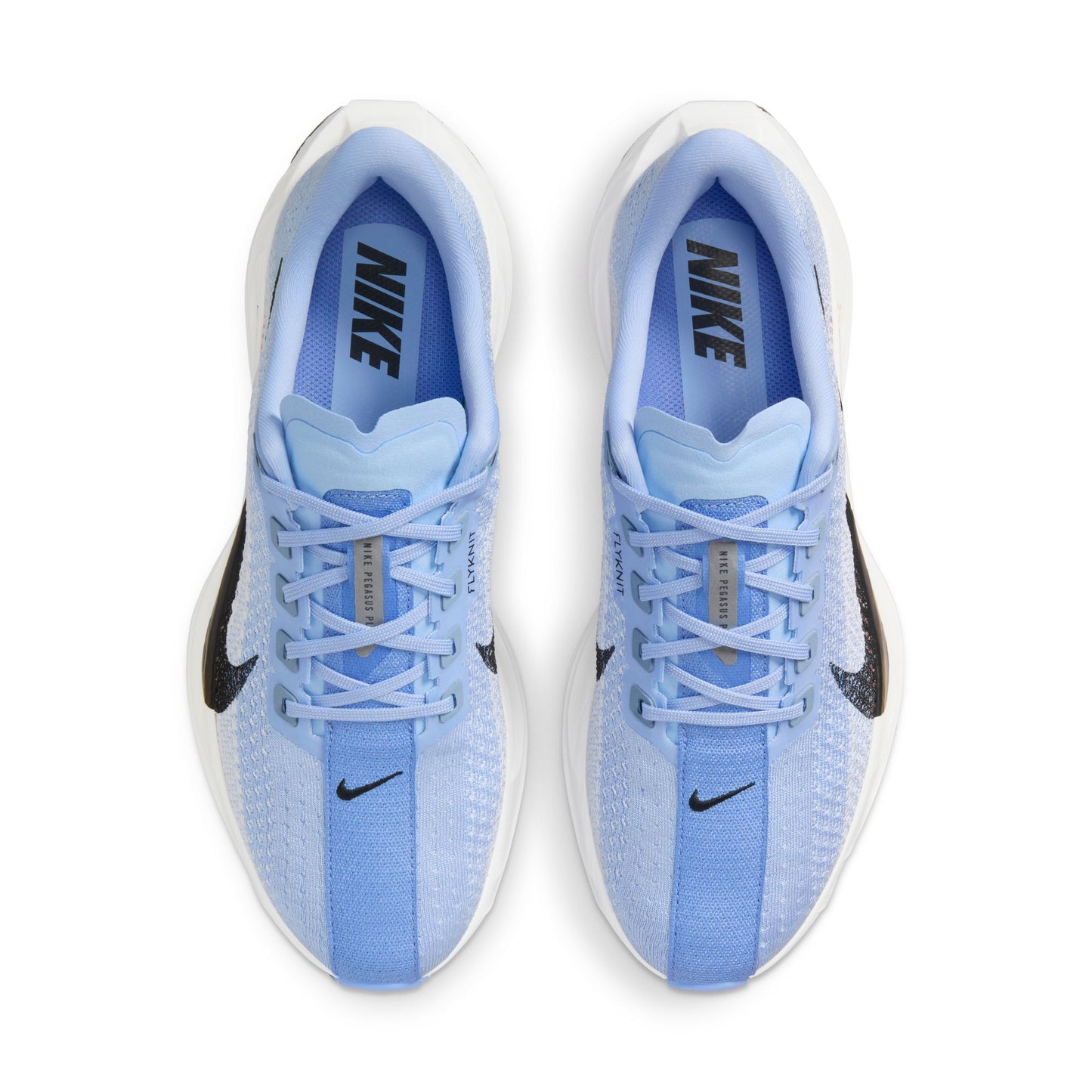 Nike Pegasus Plus | Aluminium / Royal Pulse / White / Black | Womens